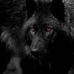 Michael Roper - Facebook
