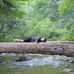 Michael Ropp - Facebook