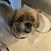 Michael rosano - @michael_rosano - TikTok
