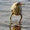 Michael Rose - @michael.p.rose - TikTok