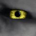 The Mind's Eye - Images by Michael Rosell - Facebook