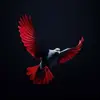 Michael Ross - @michael.ross522 - TikTok