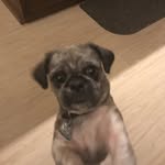 J Michael Roswell - @jmichaelroswell - Instagram