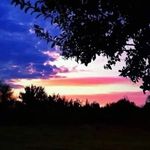 Michael Roten - @michael.roten.33 - Instagram