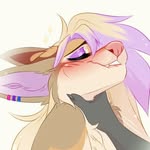 Michael Rothacher - @g4furry - Instagram