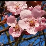 Michael Rothbauer - @rothb.michi2023 - Instagram