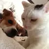 Michael Rothbauer - @michael.rothbauer7 - TikTok