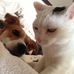 Michael Rothbauer - Facebook