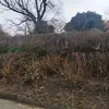 Michal Rothbauer455 - @michalrothbauer - TikTok