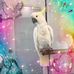 Mike Roughton - Facebook