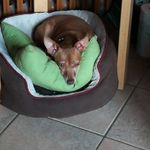 Michel Rouillard - @michel.rouillard.95 - Instagram