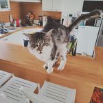 Michel Rouillard - @deeperkyoshiro - Instagram