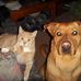 Michael John Routson - Facebook