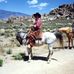 Michael Royer - Facebook