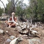 Michael Royer - @deanroymichaeldean - Instagram