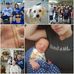 Mike Rubenstein - Facebook