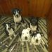 Michael Rubright - Facebook