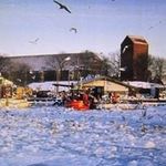 Michael Ruby - @michaelthorsminde - Instagram