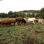 Michael Rüdiger Kreft - @micha_elruediger - Instagram
