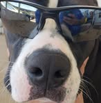 Michael Ruffolo - Facebook