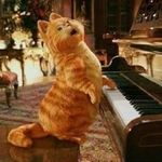 Michael Ruggeri - @garfield.003 - Instagram