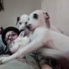 big Michael - @michaelruh1 - TikTok