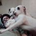 Michael Ruh - Facebook