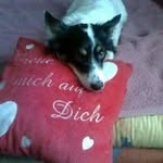 Michael Ruhe - @ruhe8084 - Instagram