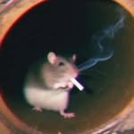 Michael Rumble - @crustywobbly_666 - Instagram