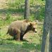Michael Rusche - Facebook