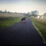 Michael Rusden - @mic90210 - Instagram