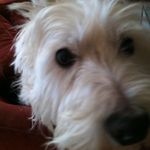 Michael Ruszkowski - @michaelruszkowski - Instagram