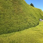 Michael Ruszkowski - @michael.r.photo - Instagram