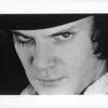 Michael Ryall758 - @ryalldup - TikTok