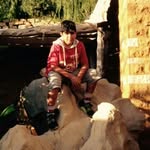 Michael Saadeh - @michaelaelsaadeh2005 - Instagram