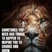 Michael Saban - Facebook