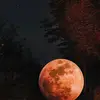 saharamichael - @saharamichael - TikTok