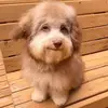 Michael 🫡 - @michael.sal5 - TikTok