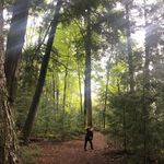 Michael Salafia - @mikesalafia - Instagram