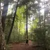 Mikleshticks - @michaelsalafia2 - TikTok