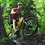 Michael Sallustio - @sallustiomichael - Instagram