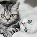 Michael Sandridge Online 83134 - Facebook
