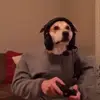 Michael Sangster - @michael.sangster6 - TikTok