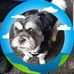 Michael Sangster - Facebook