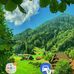 Michael Sangster - Facebook