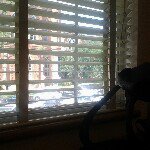 Michael Sapp - @mykoolsapp - Instagram