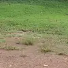michaelsartor825 - @michaelsartor825 - TikTok