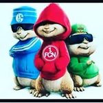 Michael Sauer - @michael.sauer.77770 - Instagram