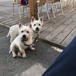 Michael Saunders - @michaelsaunders58 - Instagram