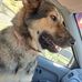 Micheal Saunders-Cvek - Facebook